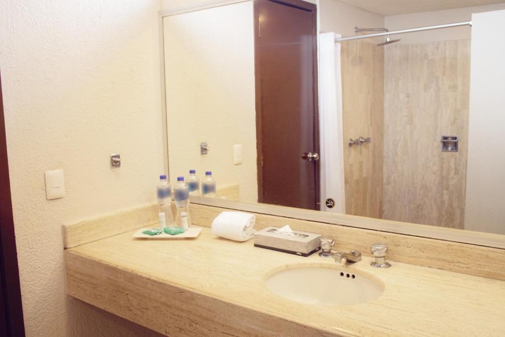 Baño one Guadalajara Tapatio
