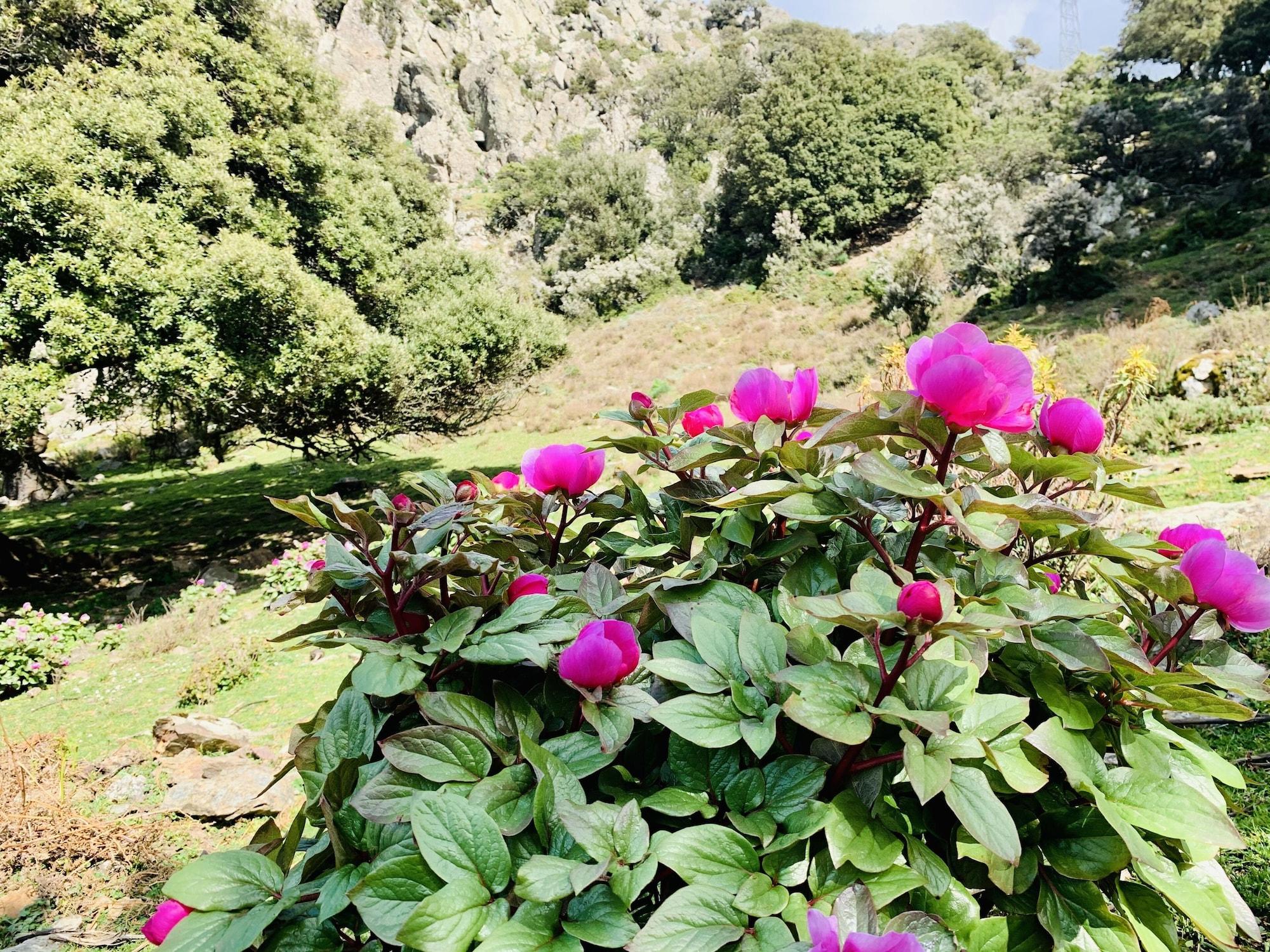 Vista Exterior Hotel Miramonti, Turismo Rurale