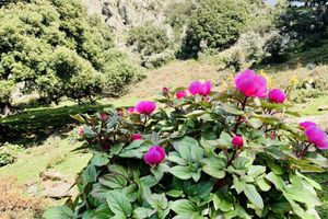 Alojamiento - Hotel Miramonti, Turismo Rurale