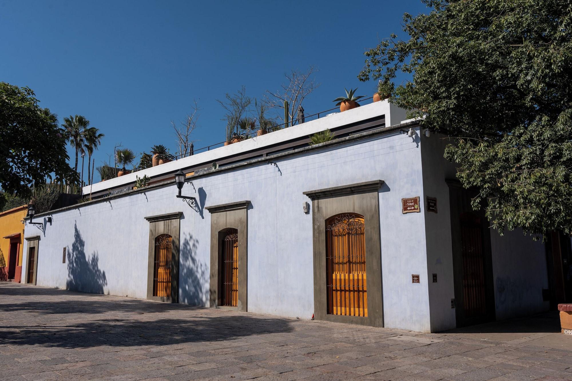 Vista Exterior Casa Carmen Xólotl