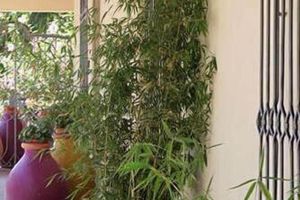 Alojamiento - Bo Hotel de Encanto