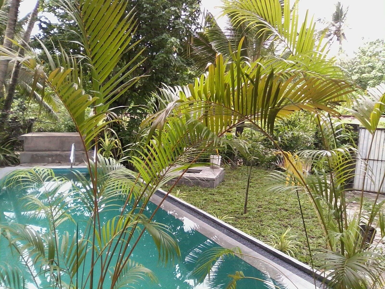 Varios Asanka Surf House