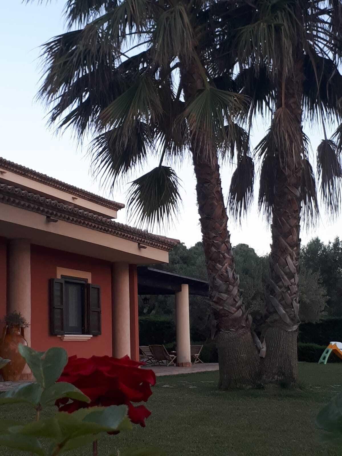 Vista Exterior Casale degli Ulivi