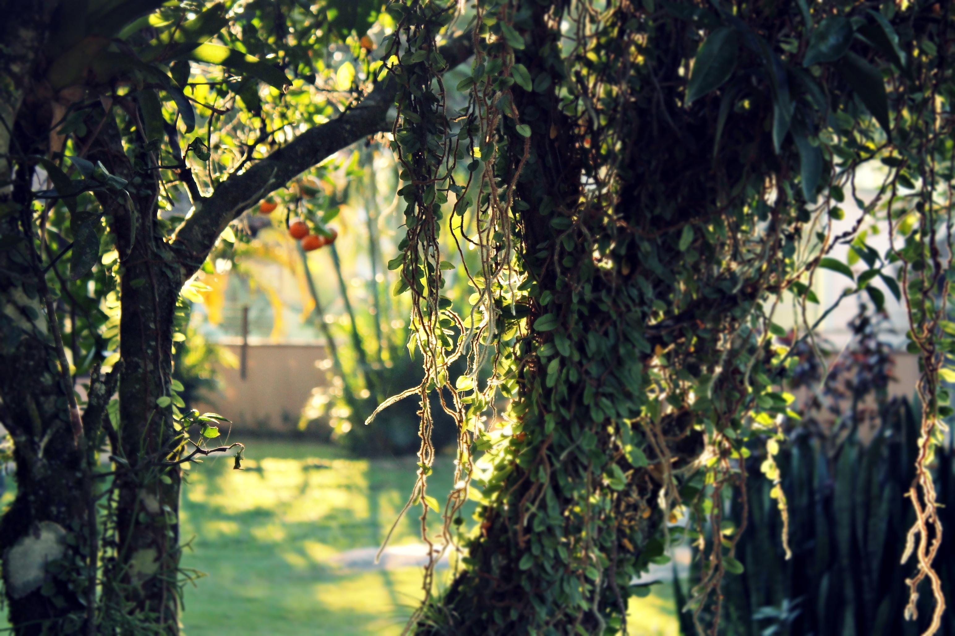 Varios Maria do Carmo Cama & Café - Bistrô