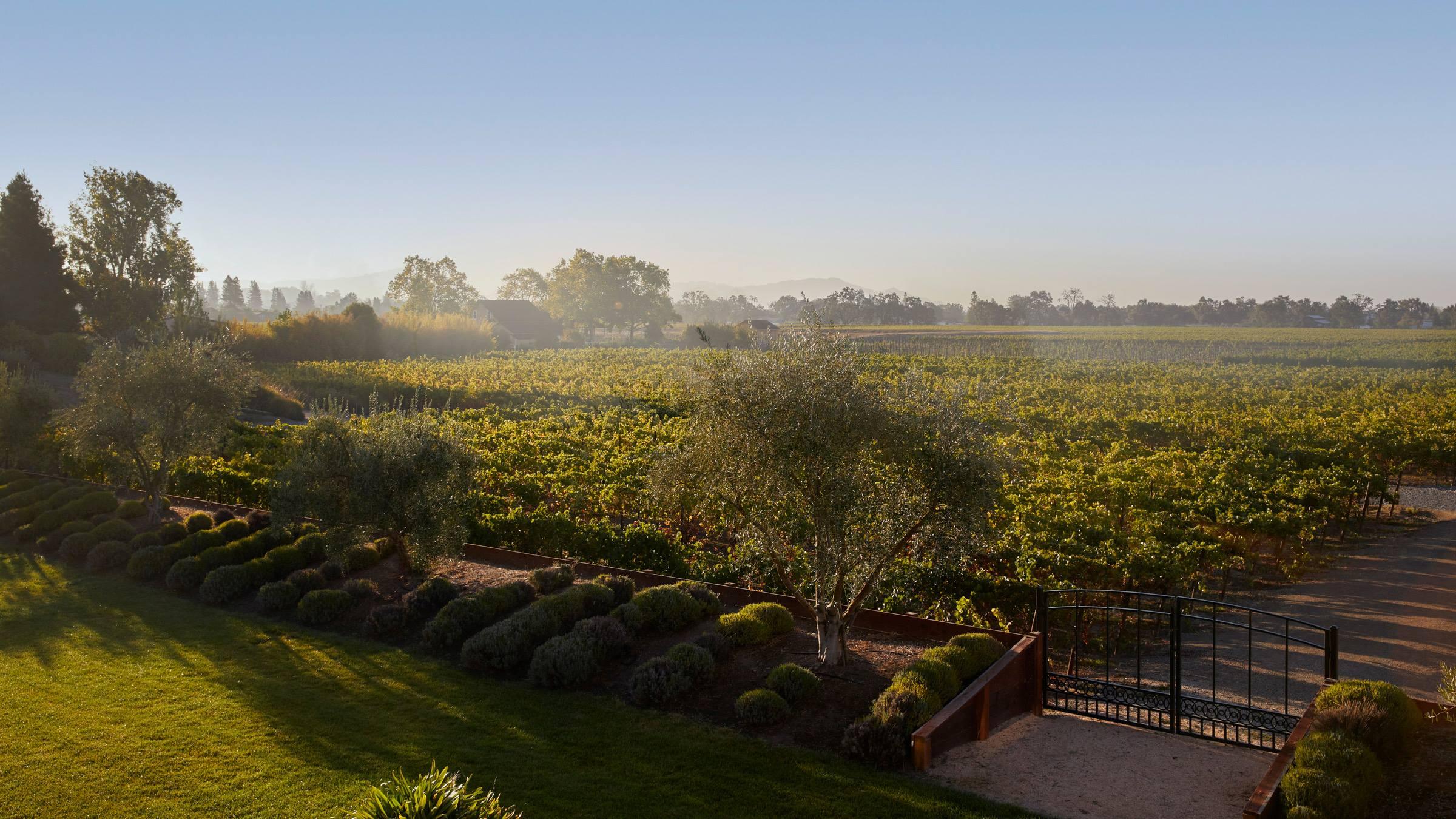 Vista Exterior Vinarosa Resort & Spa