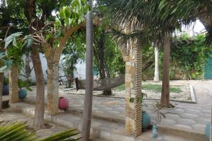 Alojamiento - Hotel Mimosa - Hostel