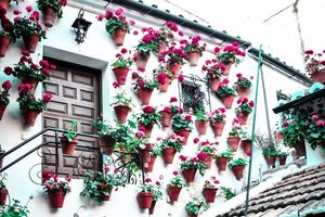 Actividad - Descubre seis patios cordobeses - Tour a pie