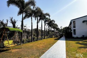 Alojamiento - The Neeraj River Forest Resort