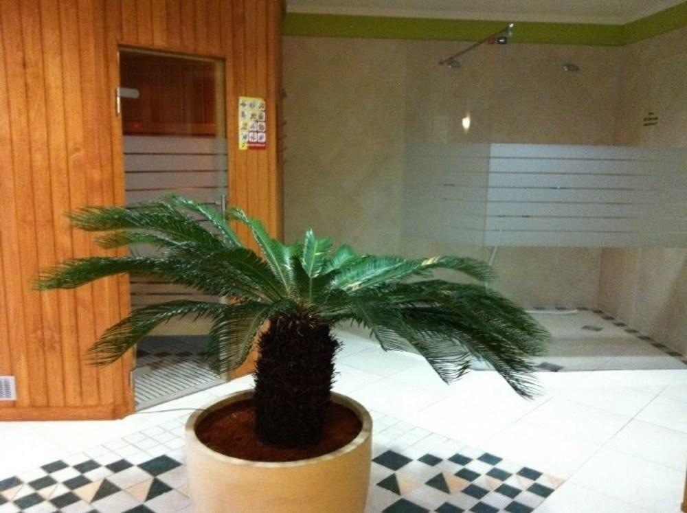 Spa Hotel Godewind