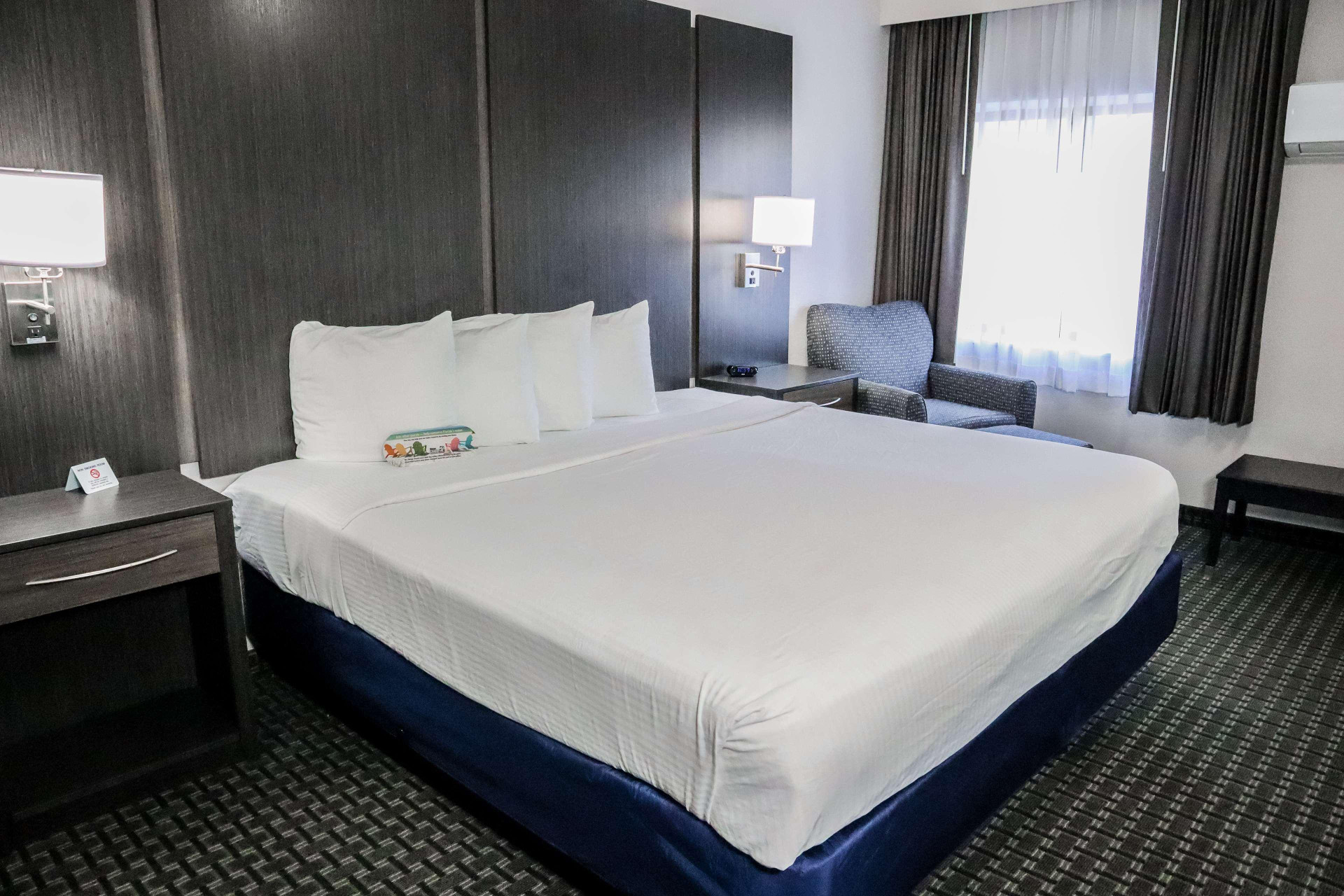 Habitación Best Western Ocala Park Centre