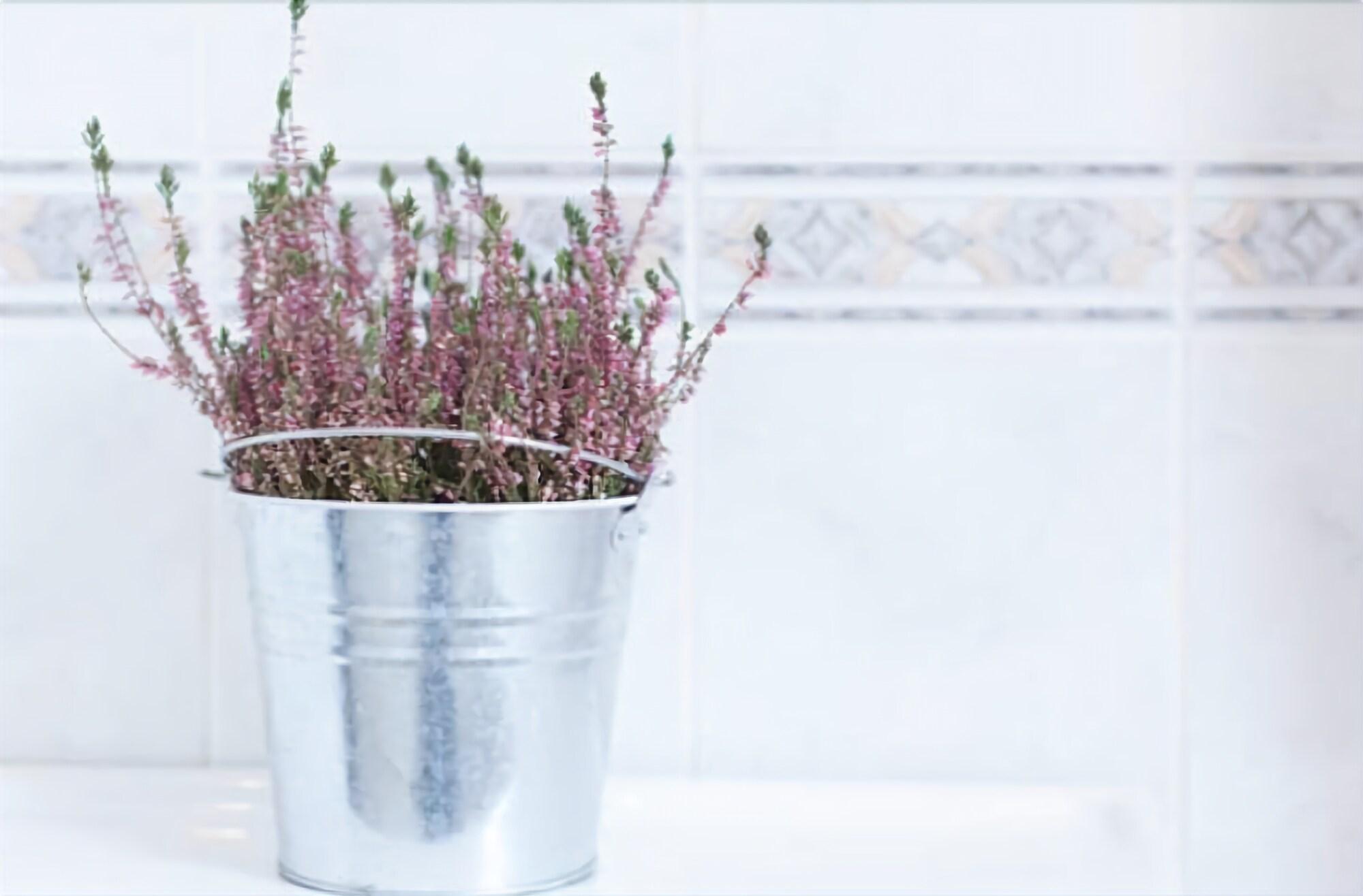 Vista Lobby Home2Home-Rooms