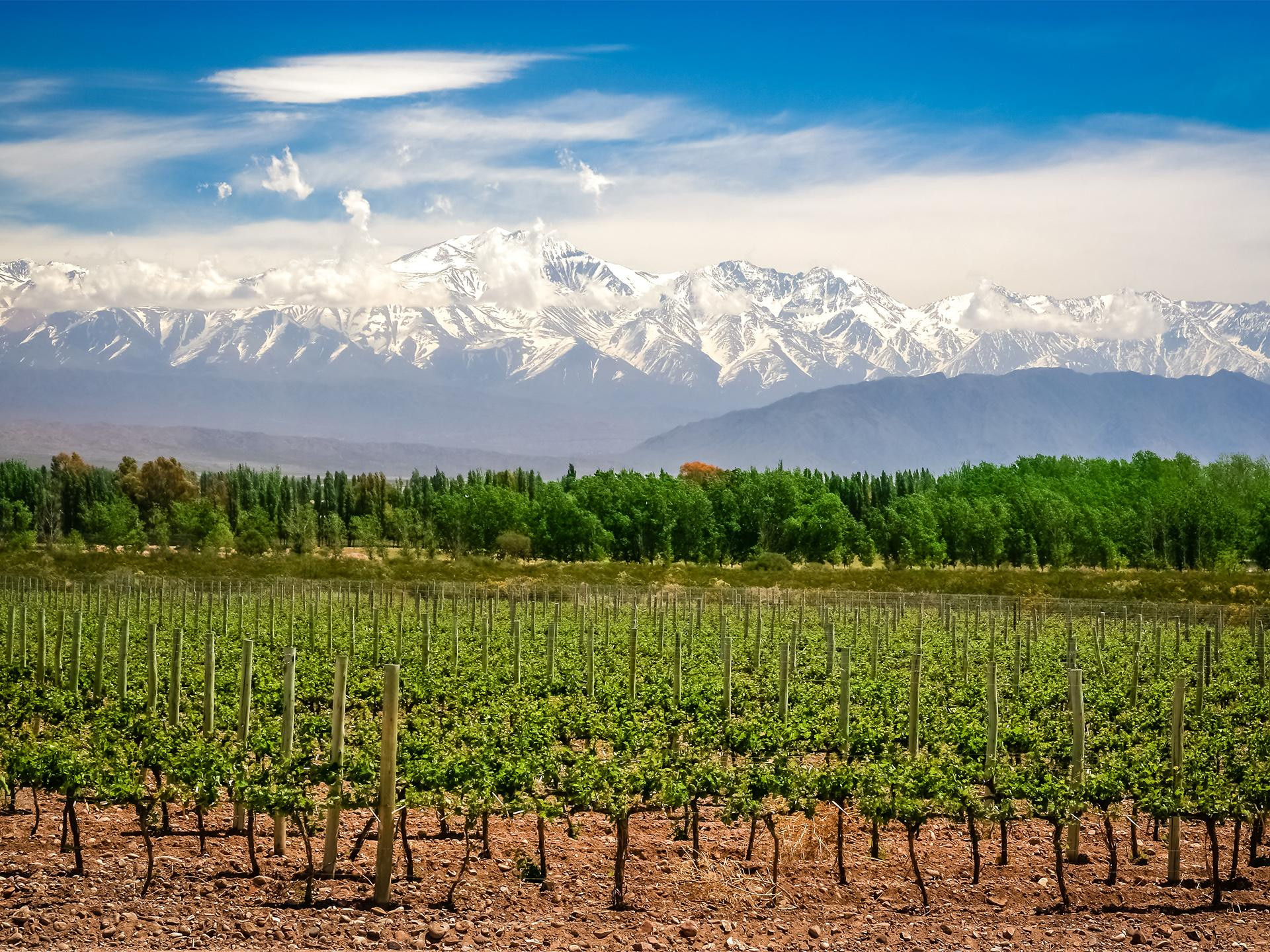 Paquetes de Viaje a Mendoza Viajes Falabella