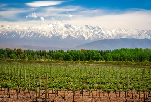 Mendoza