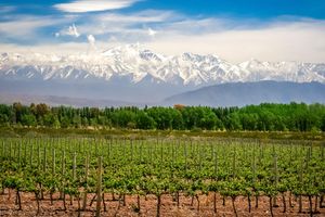 Paquete - Paquetes a Mendoza