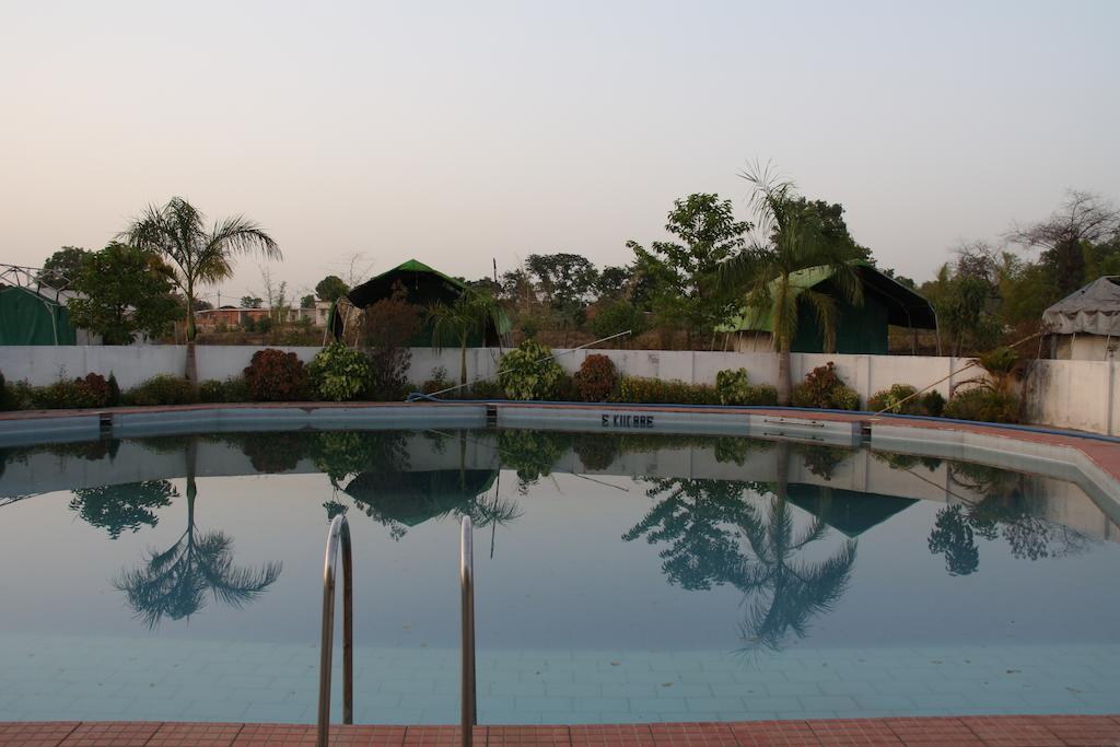 Vista Piscina United-21 Tiger's Habitat