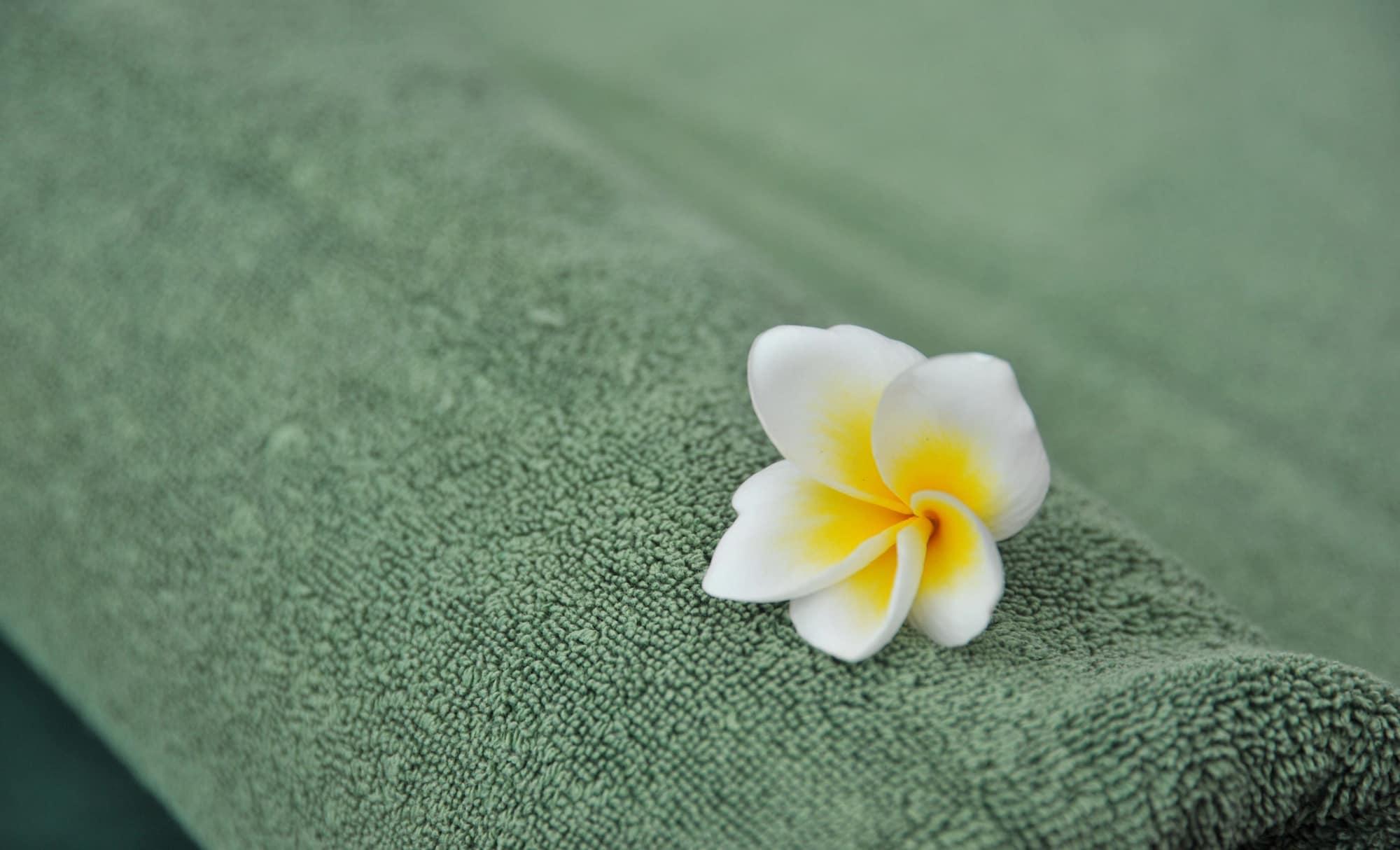 Spa Kilaguni Serena Safari Lodge