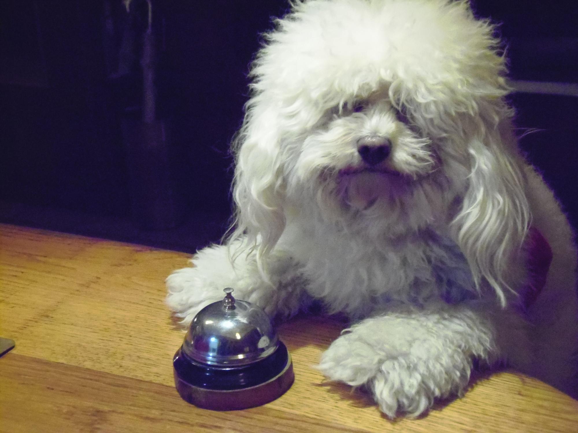 Instalaciones Recreativas City Hotel Mar del Plata