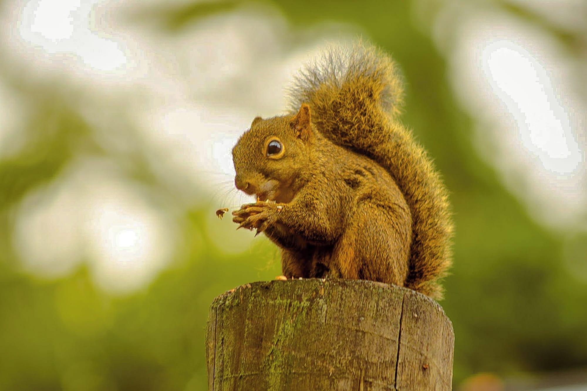 Instalaciones Recreativas VELINN Pousada Locanda Belvedere