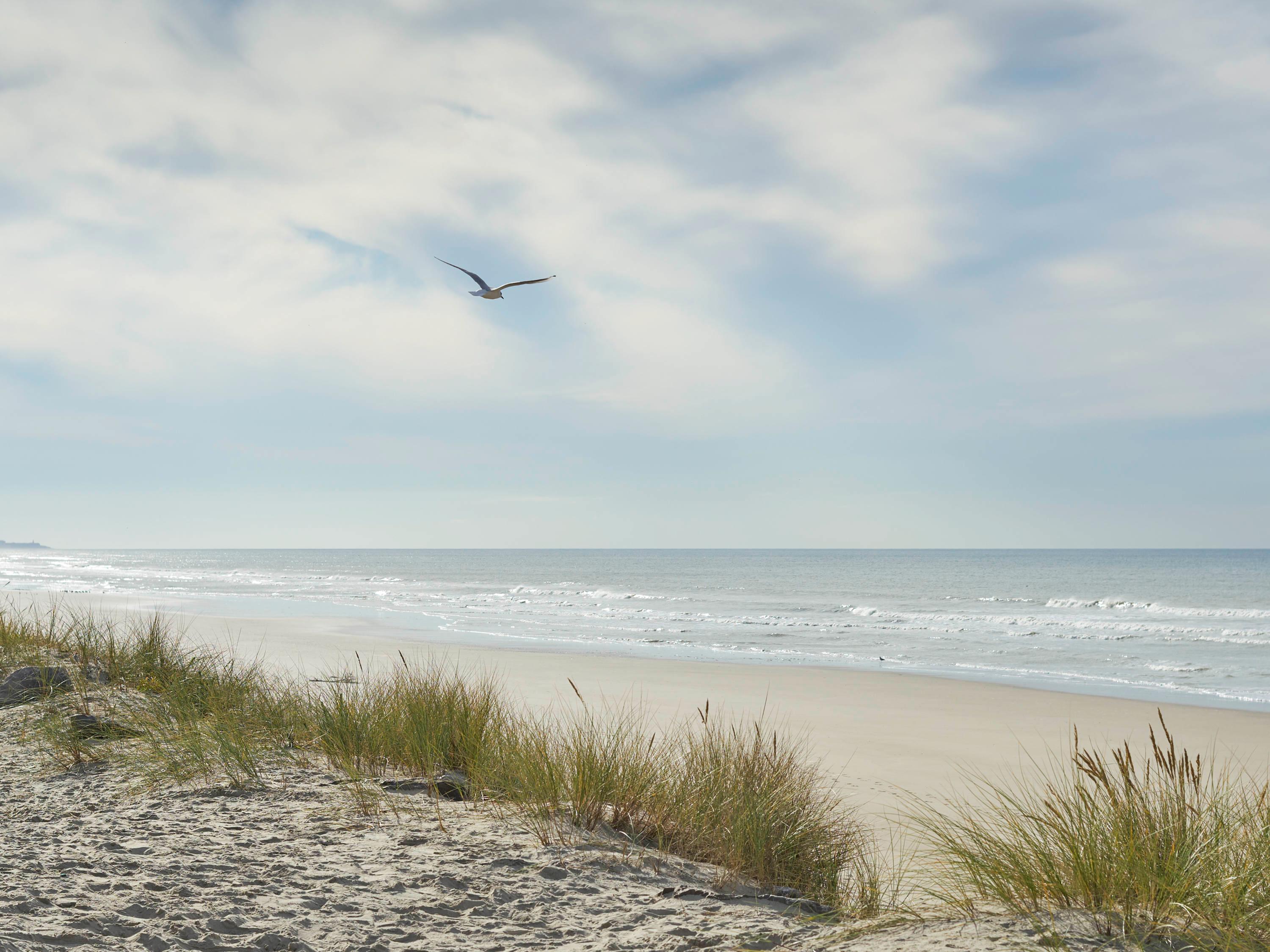 Instalaciones Recreativas Mercure le Touquet Paris Plage