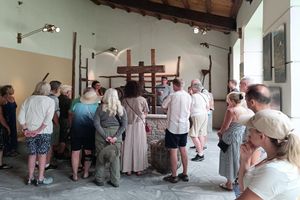 Actividad - Wine tasting experience in Samos