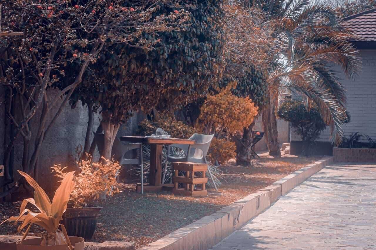 Vista Exterior The Wild Thing Guesthouse