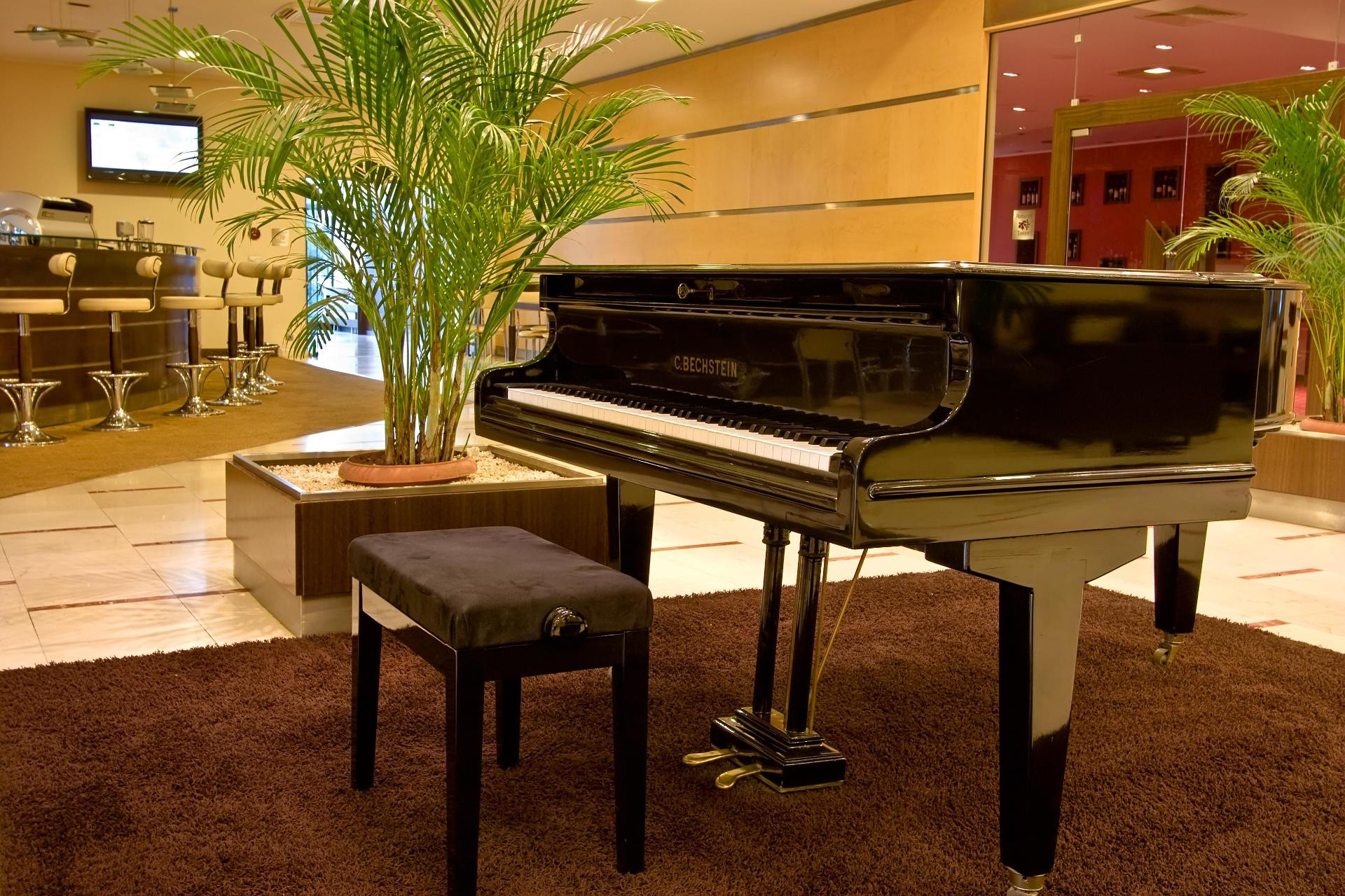 Vista Lobby Vitosha Park Hotel