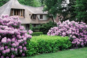 Alojamiento - Auberge des Templiers