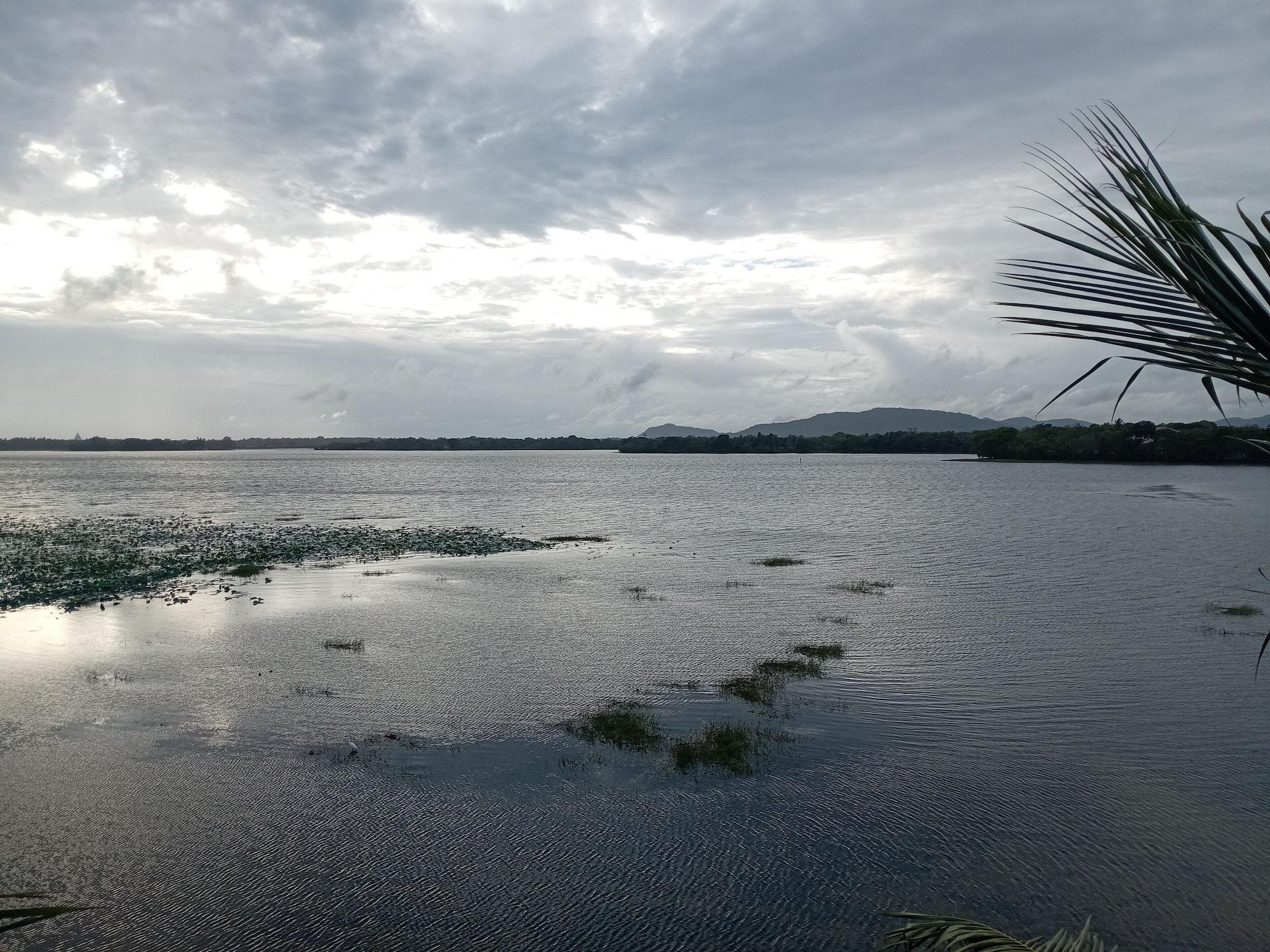 Equipamiento de Habitación Yala Treetop Lake