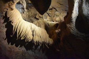 Actividad - Excursión a las Cuevas de San José