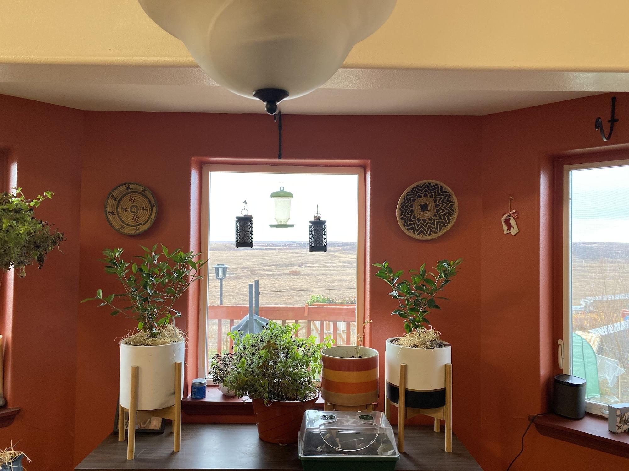 Equipamiento de Habitación Igloo of Enlightenment