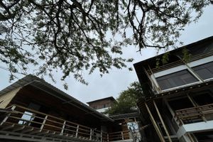 Alojamiento - Punta Hills Montanita