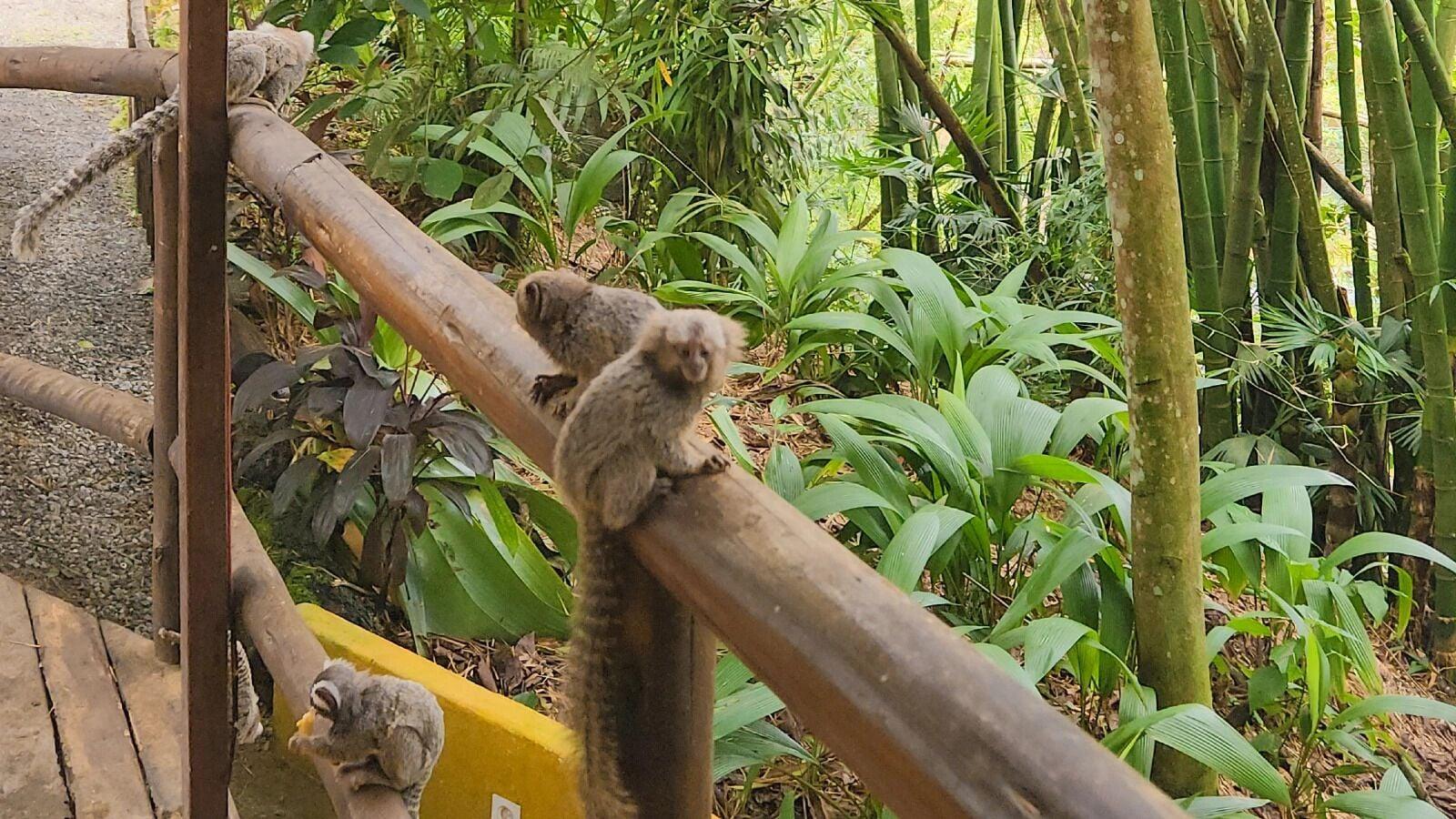 Varios Pousada Abayomi