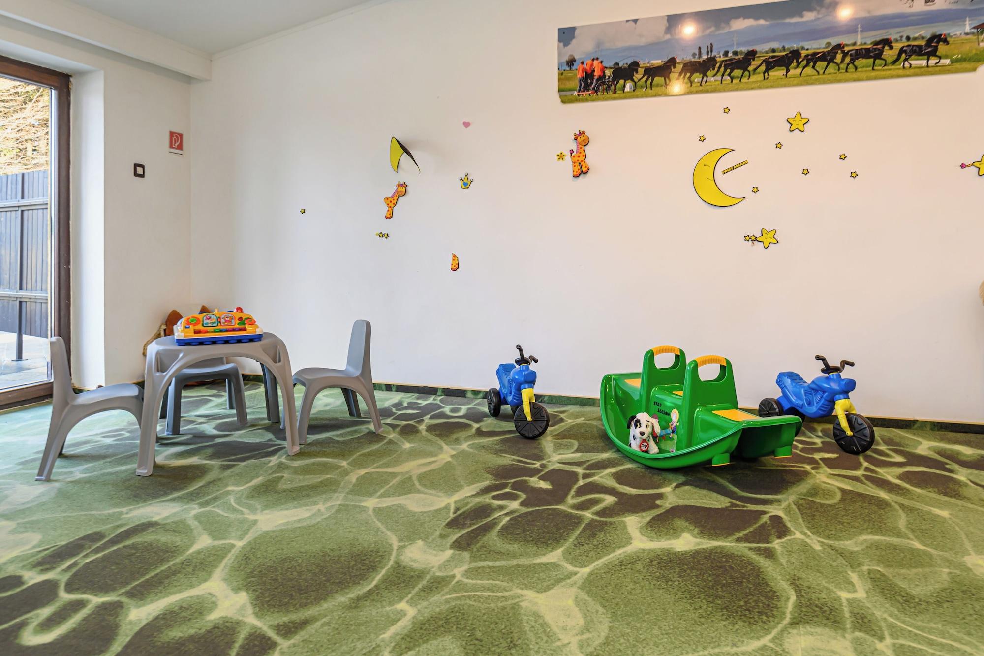 Instalaciones Recreativas Hotel Casa Viorel