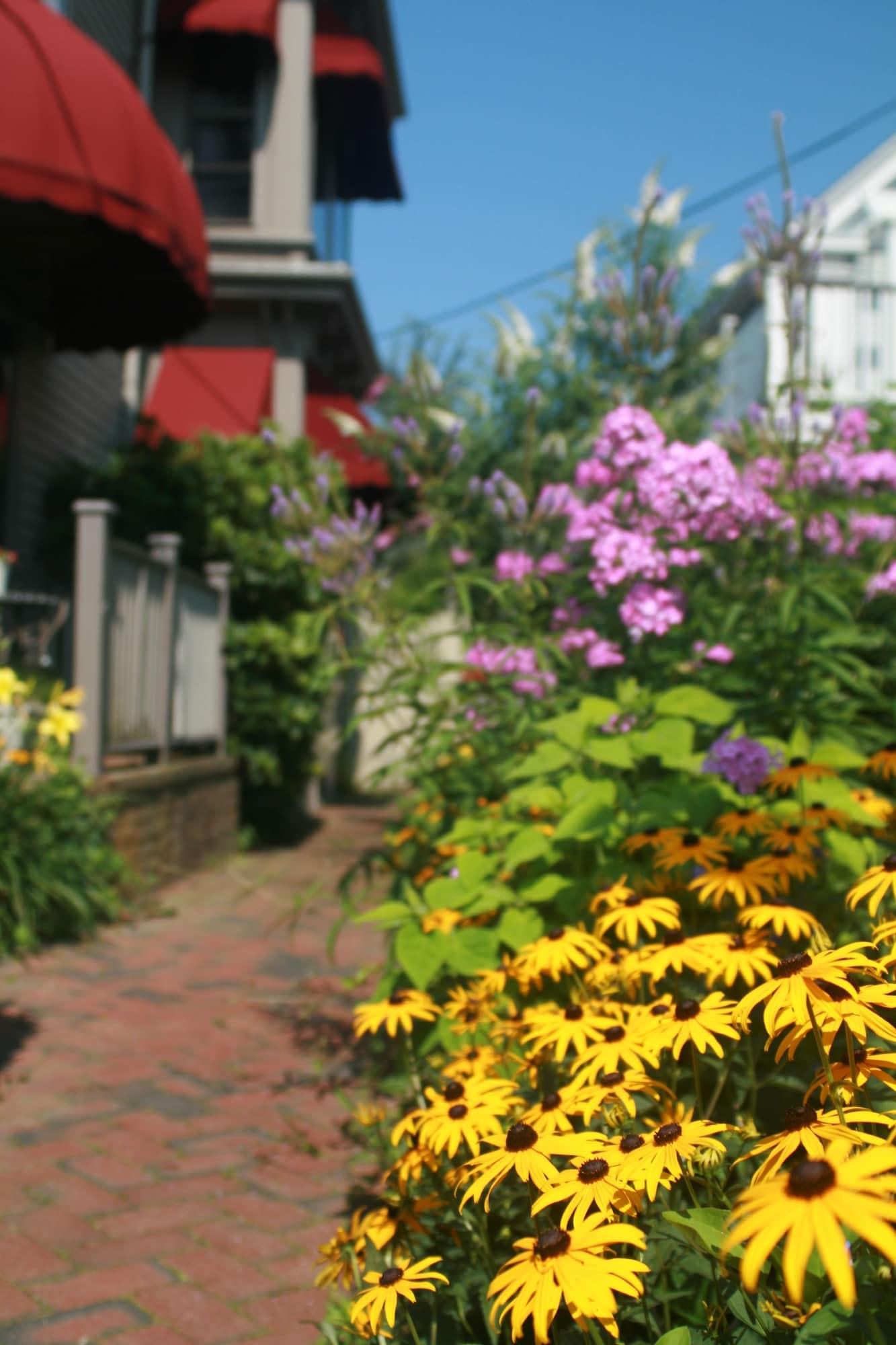 Vista Exterior Prince Albert Provincetown