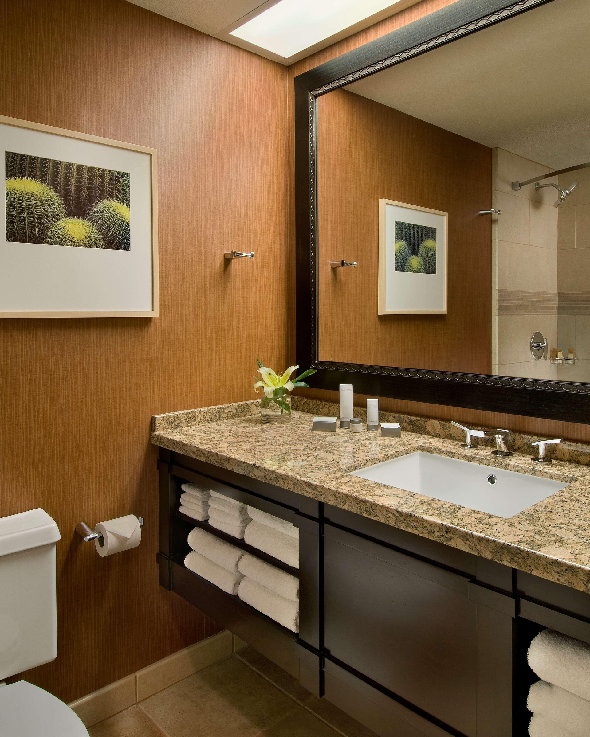 Vista Exterior Hyatt Regency Phoenix