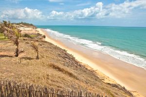 Paquete - Pipa's Bay