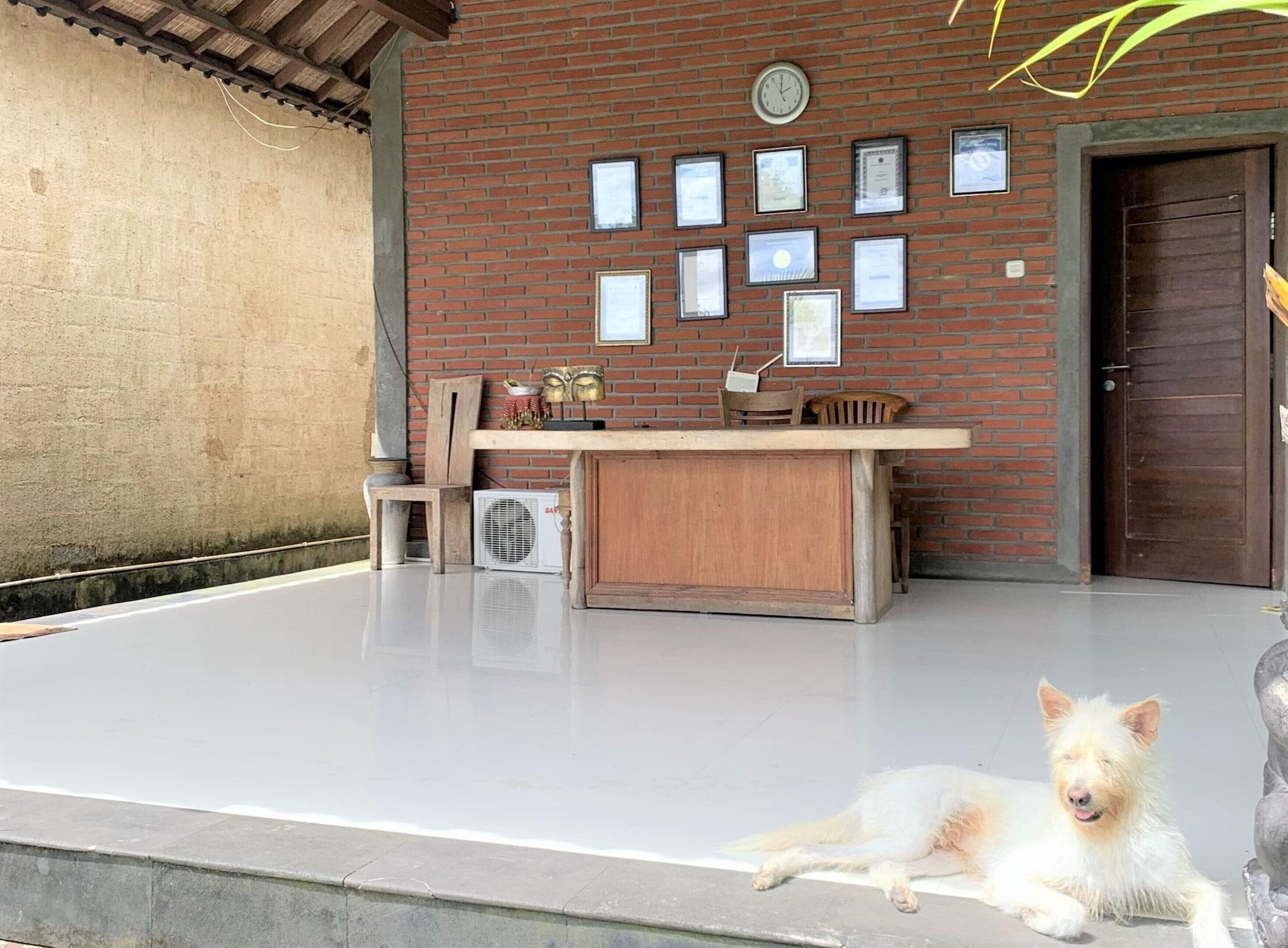 Vista Lobby Bagiya Suites & Villas