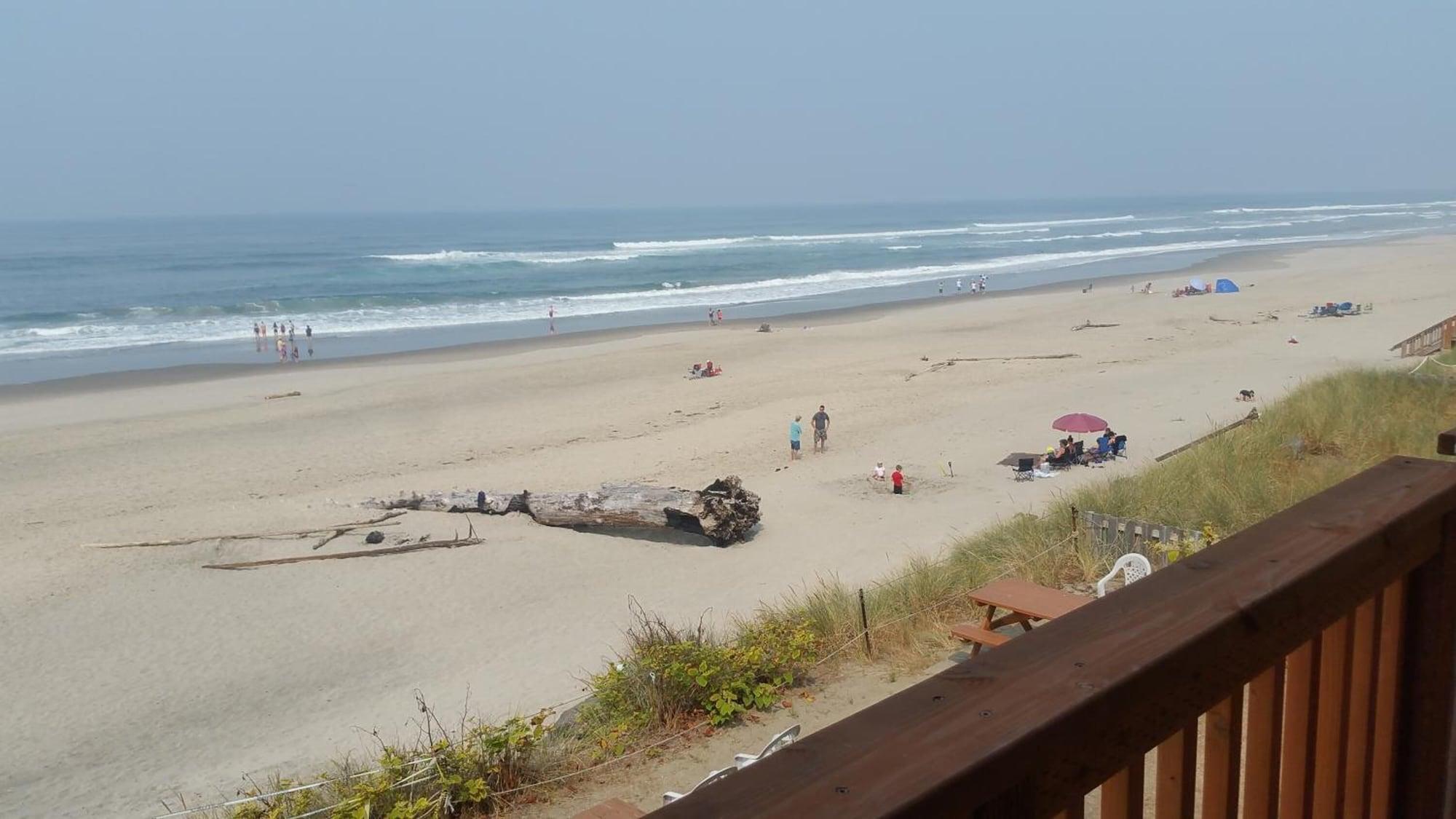 Playa Tradewinds Motel