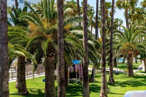 Alojamiento - Apartamentos Tamarindos Peñiscola