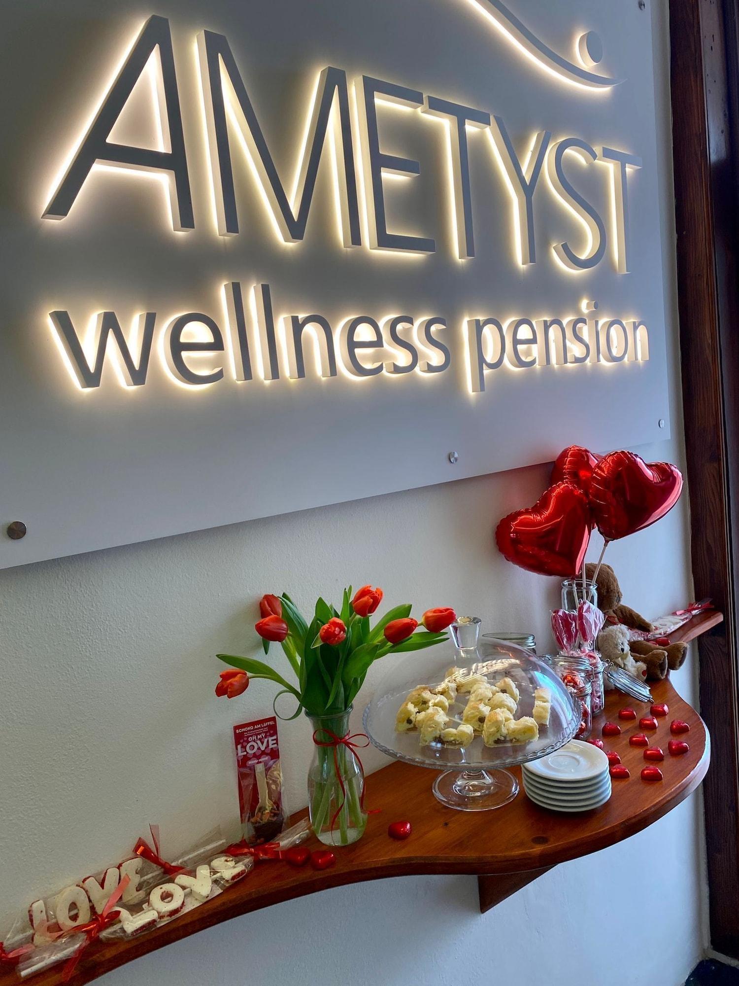 Vista Lobby Wellness Pension Ametyst