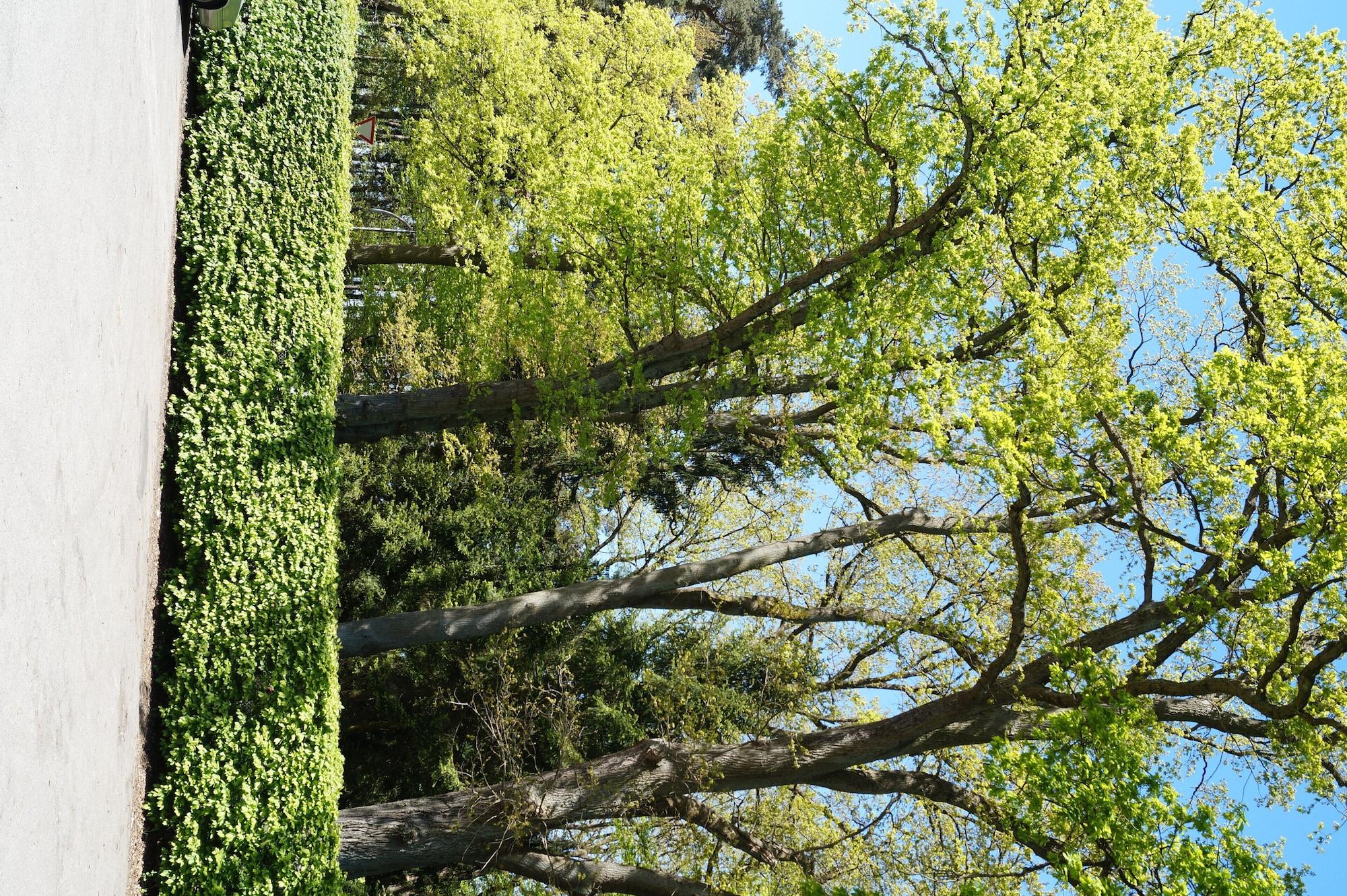 Vista Exterior Hotel Forsthaus St Hubertus