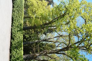 Alojamiento - Hotel Forsthaus St Hubertus