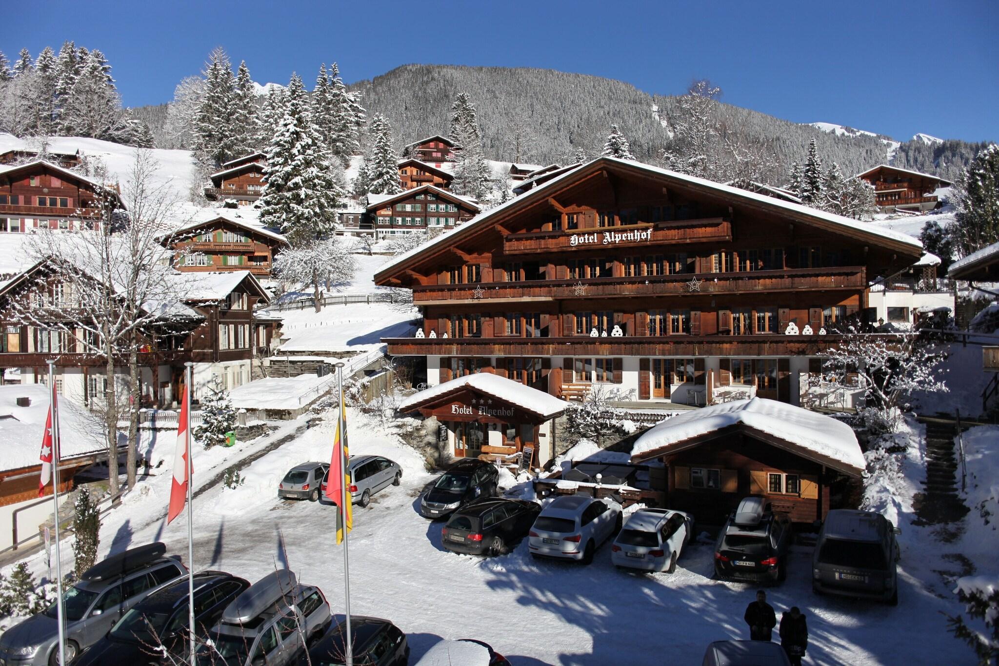 Vista Exterior Hotel Alpenhof