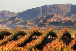 Actividad - Tour a San Rafael Cañón del Atuel
