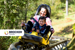 Actividad - Alpen Park - Diversión y naturaleza