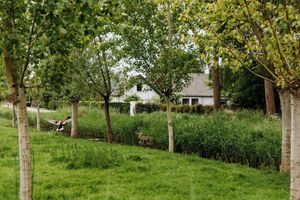 Alojamiento - Boutique B&B Oud Aa