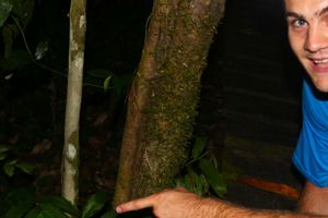 Actividad - Senderismo nocturno por la selva amazónica