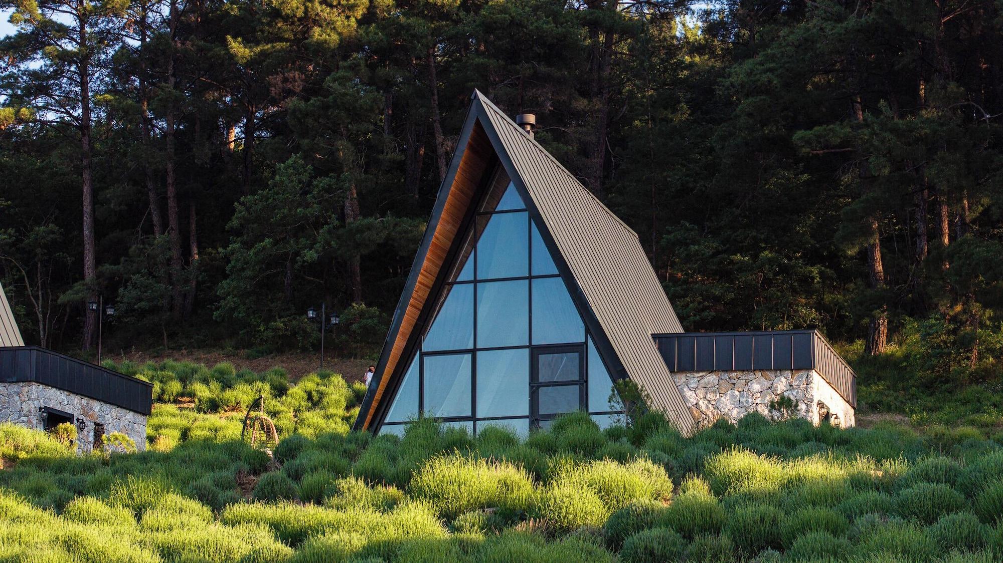 Varios Eva Lavanda Kazdağları