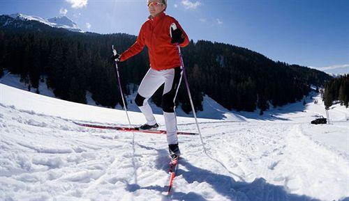 Instalaciones Recreativas Gasthof Pension Falkeis
