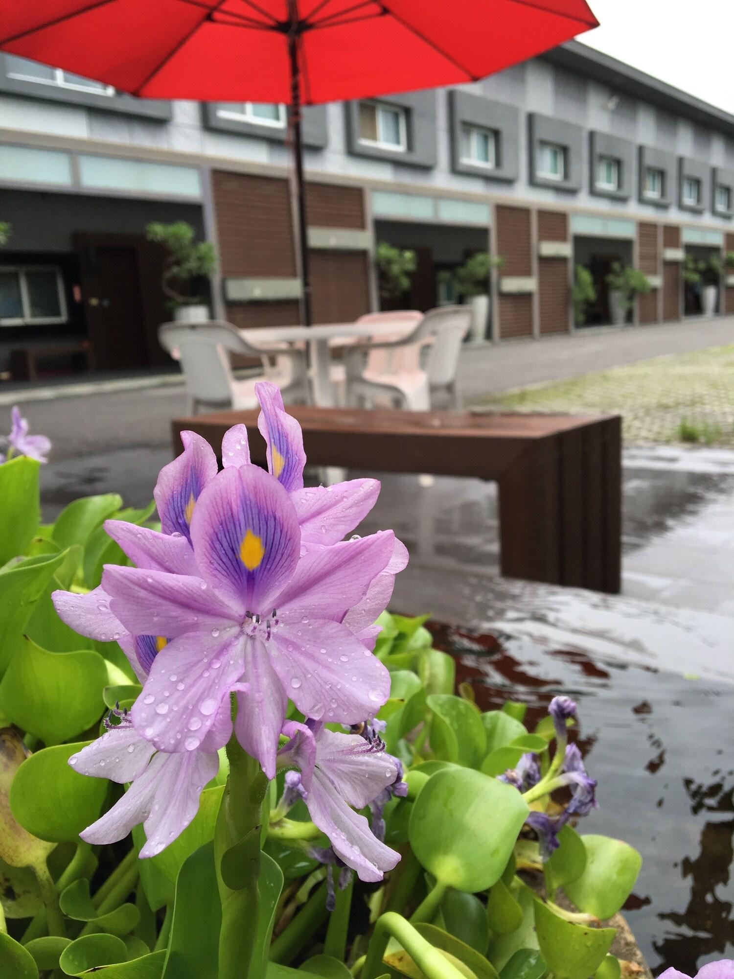 Vista Exterior Nikaido Bussiness Hotel